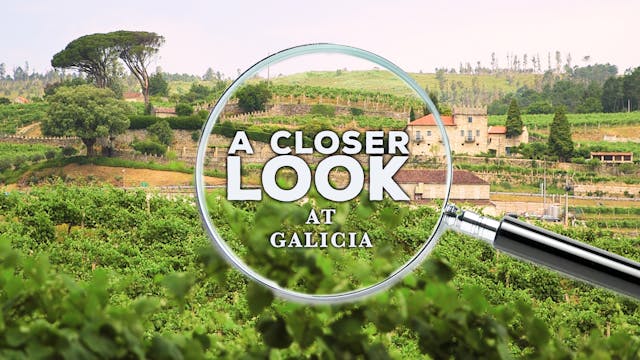 A Closer Look at Galicia