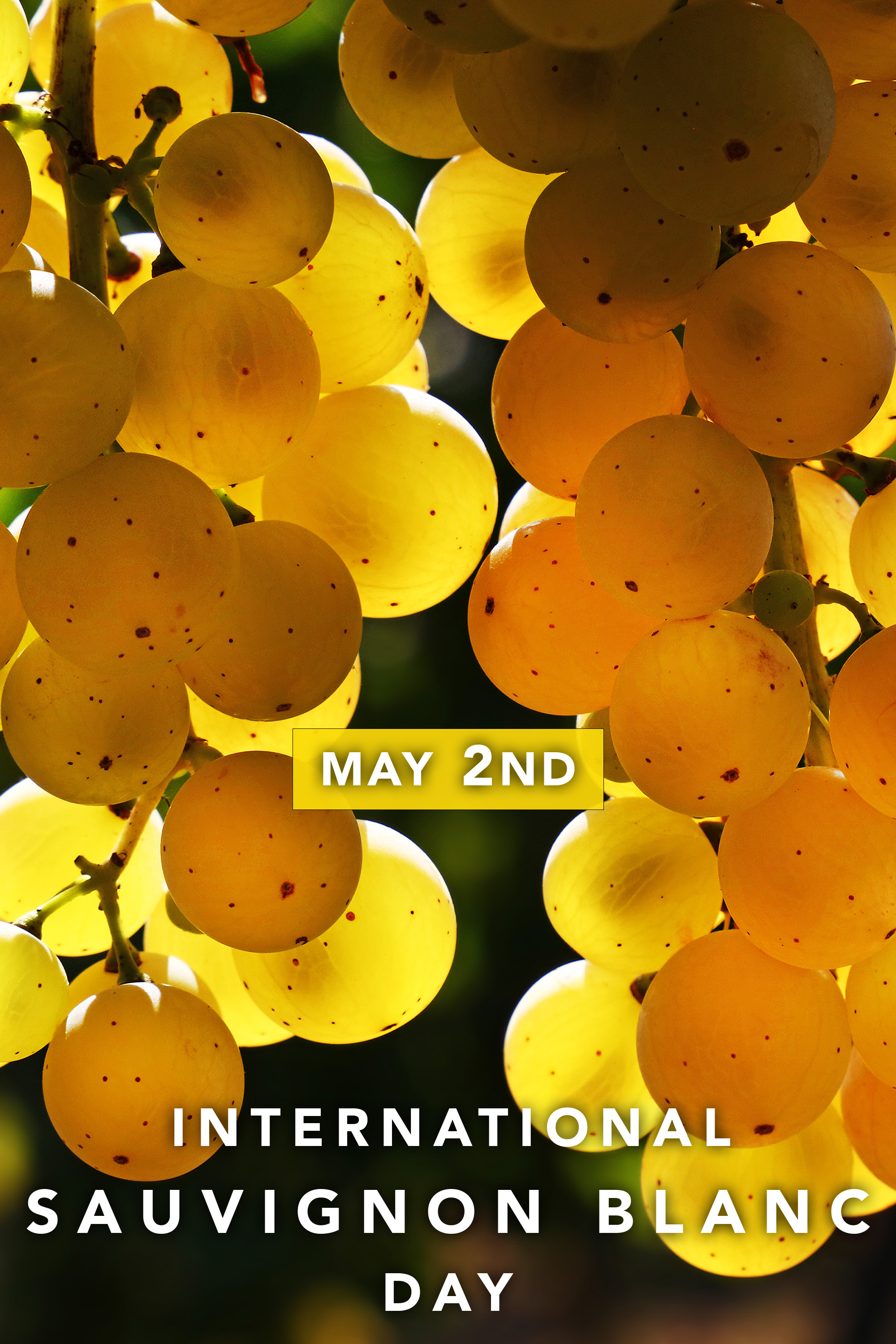 International Sauvignon Blanc Day