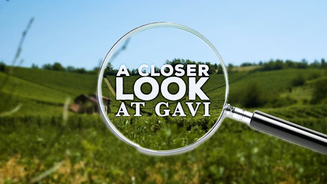 A Closer Look at Gavi