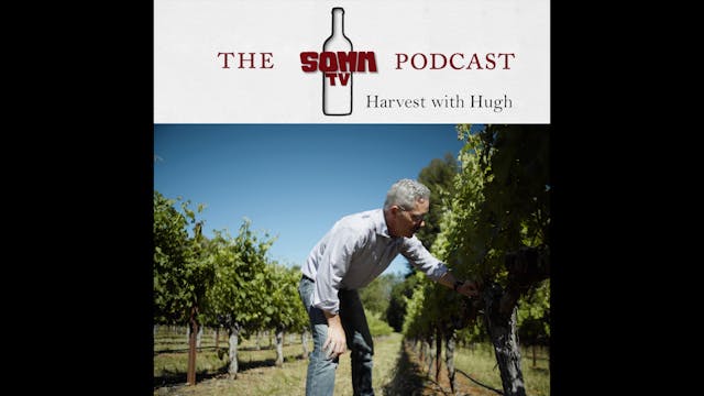 SommTV Podcast: Harvest with Hugh