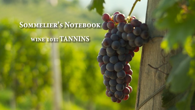 An Intro to Tannins