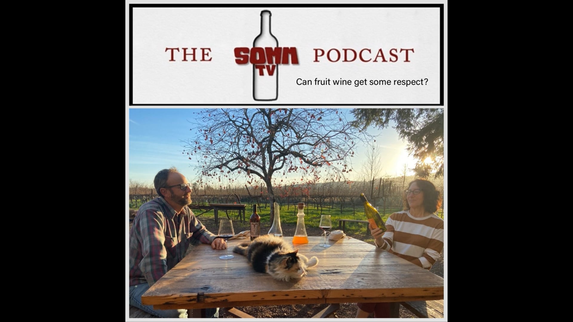 Can fruit wine get some respect?