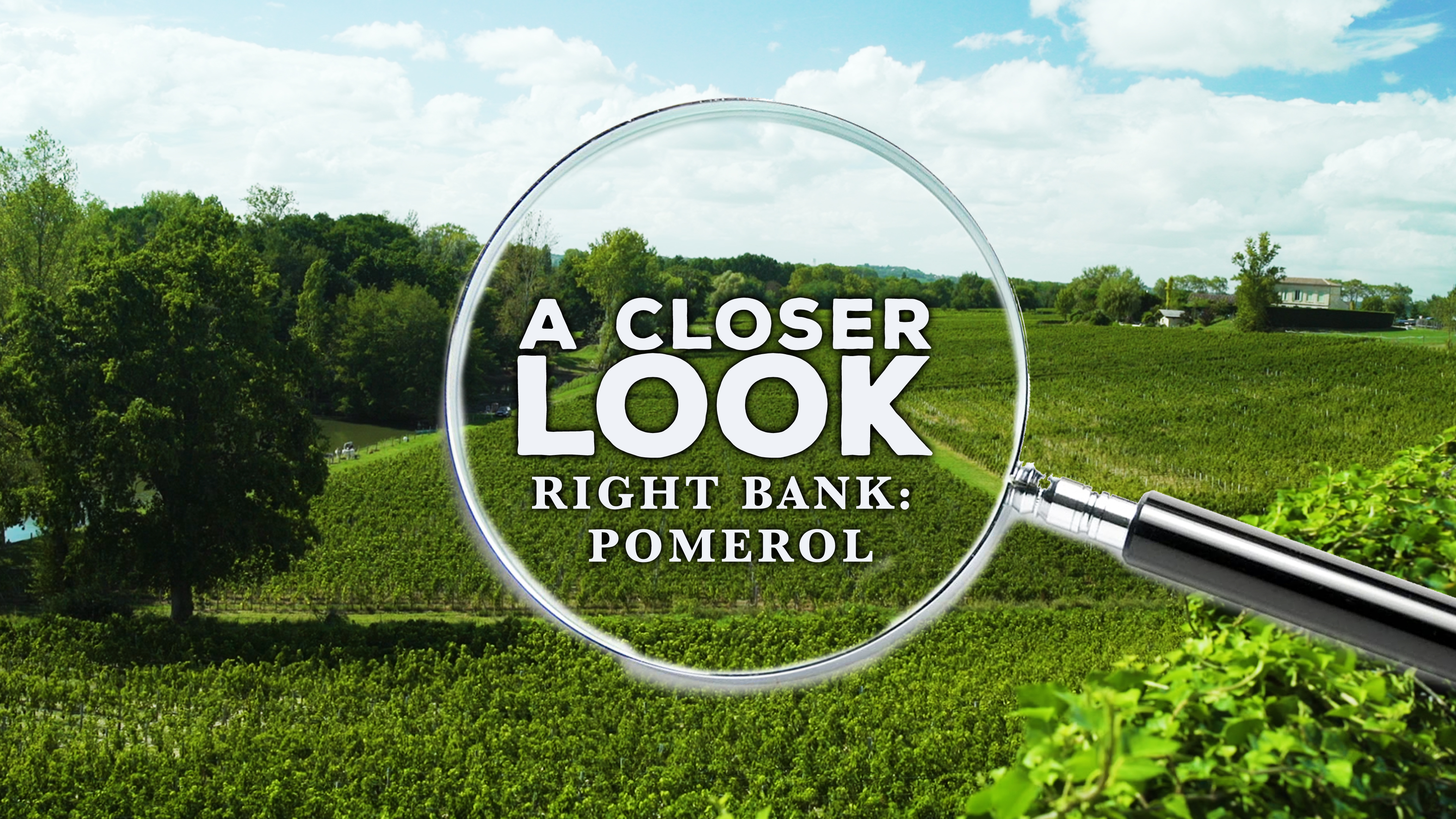 A Closer Look at the Right Bank: Pomerol