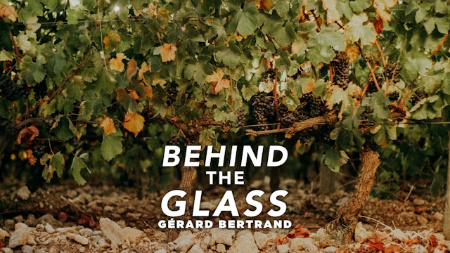 Behind The Glass: Gerard Bertrand
