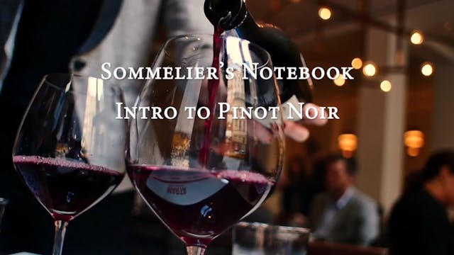 An Intro to Pinot Noir