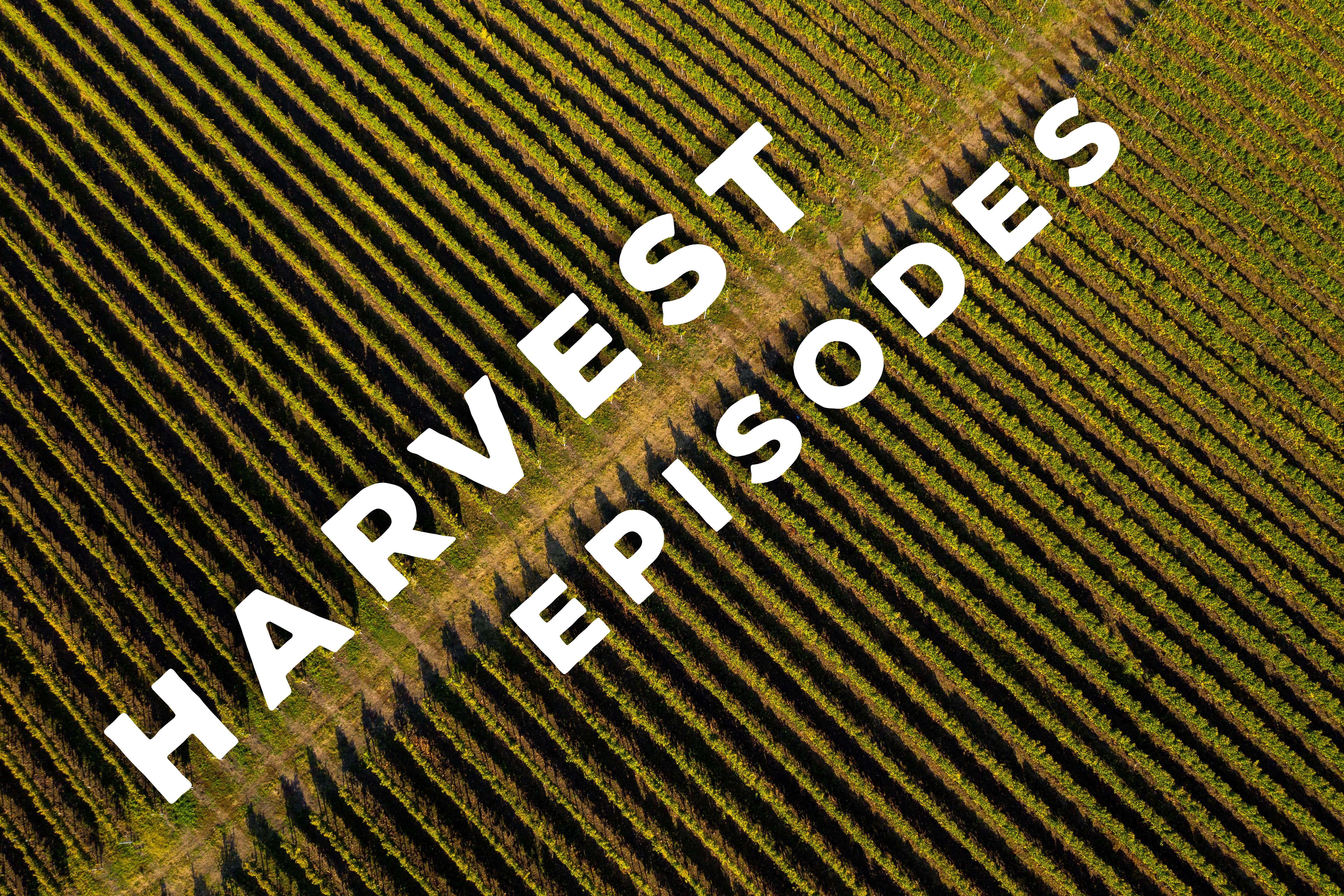 The Harvest Series SOMM TV