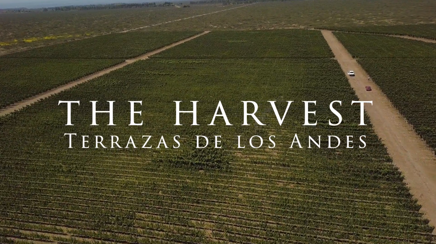 Harvest: Terrazas de los Andes
