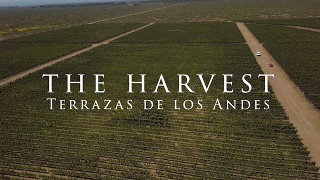 Harvest: Terrazas de los Andes