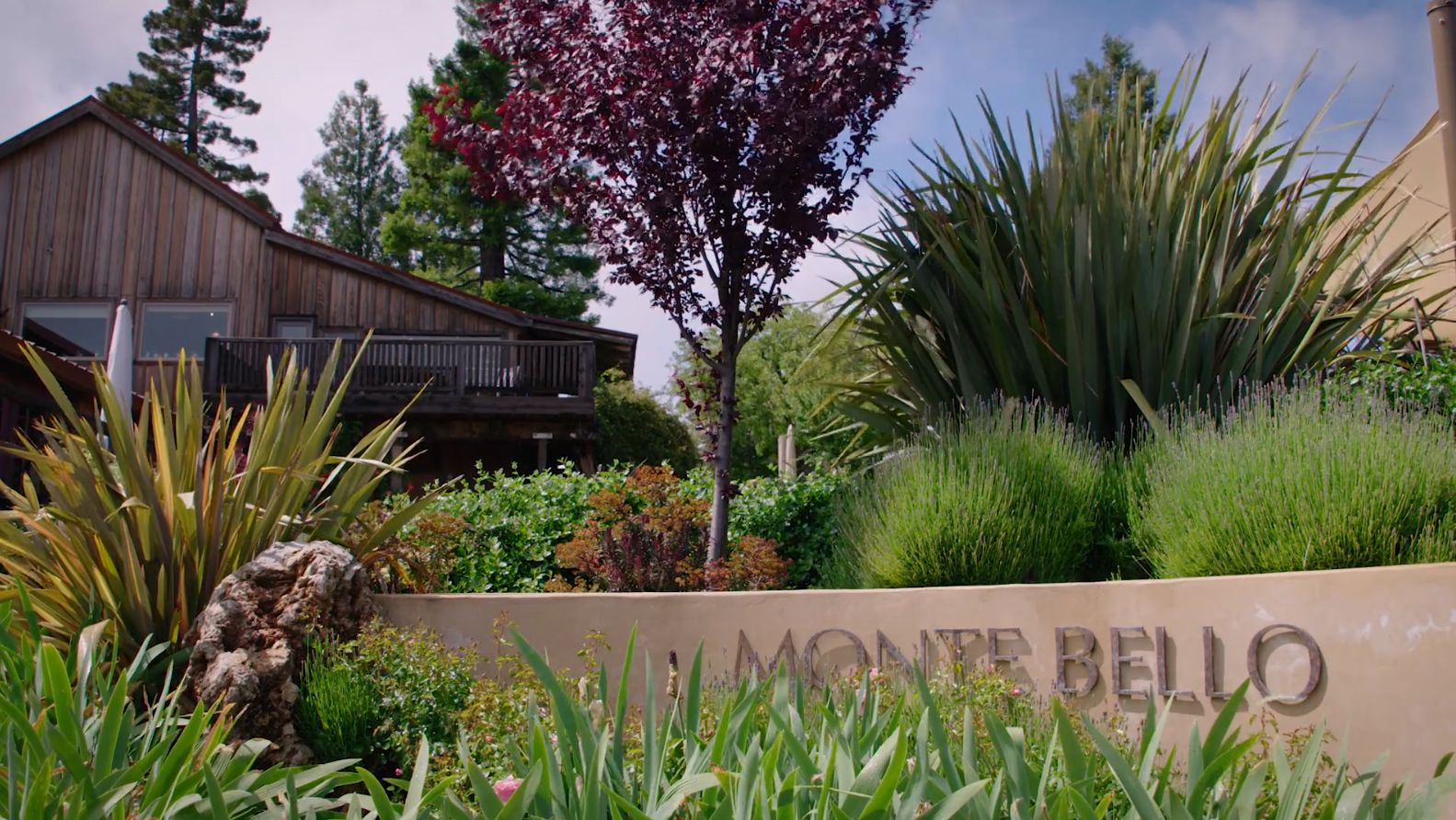 Explore Ridge Vineyards