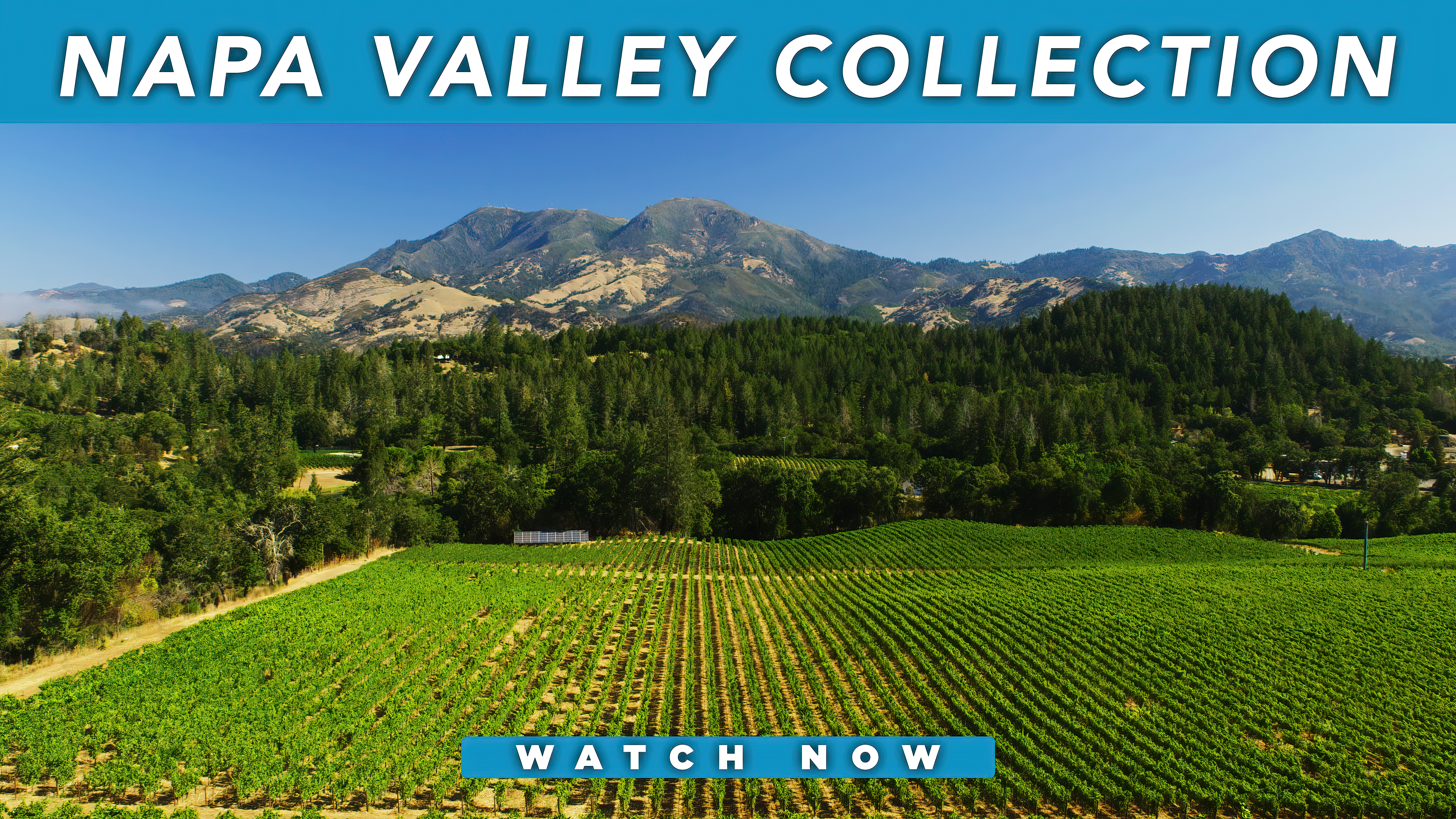 Napa Valley Collection