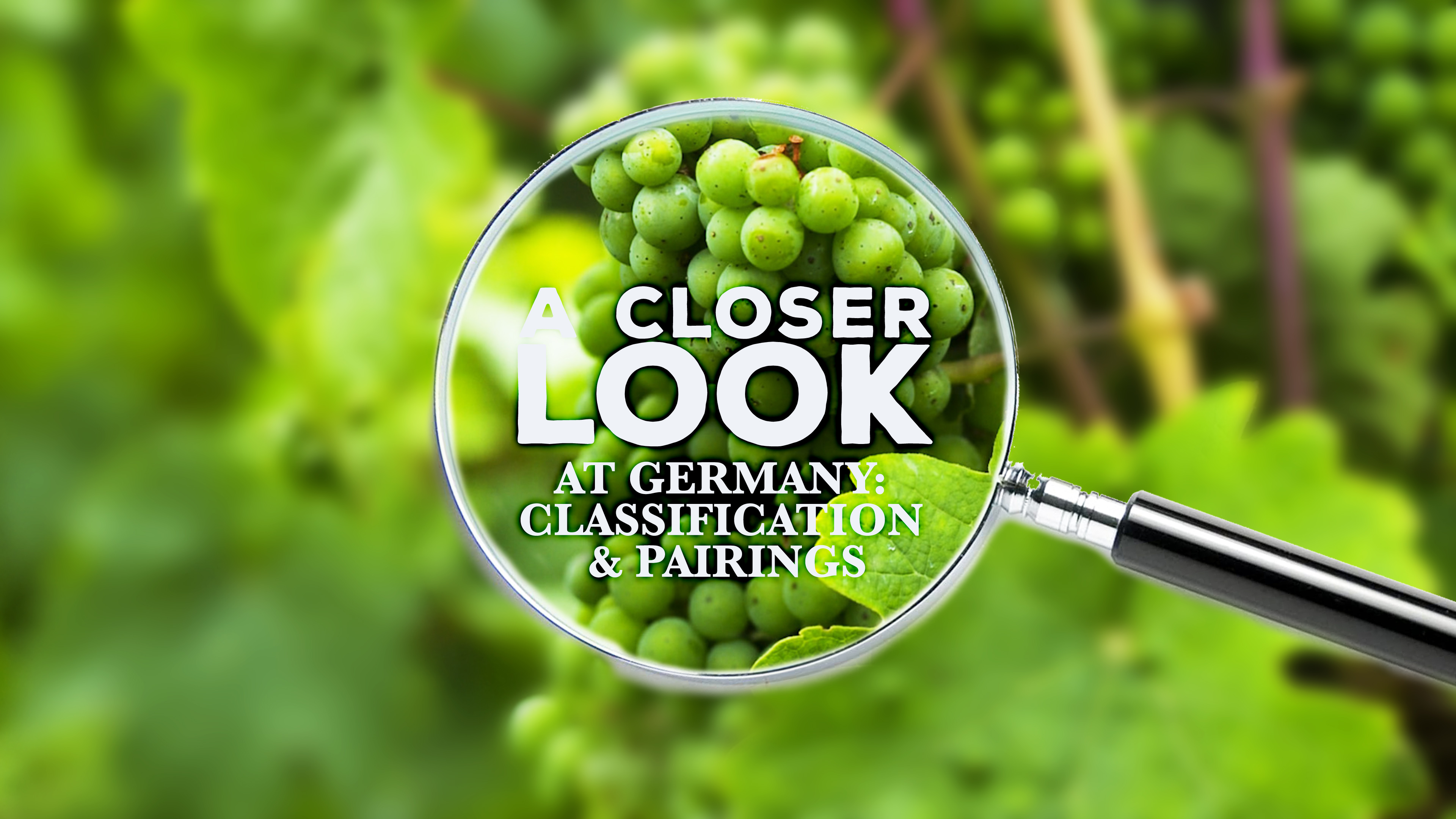 A Closer Look at Germany: Wine Classification & Food Pairings 