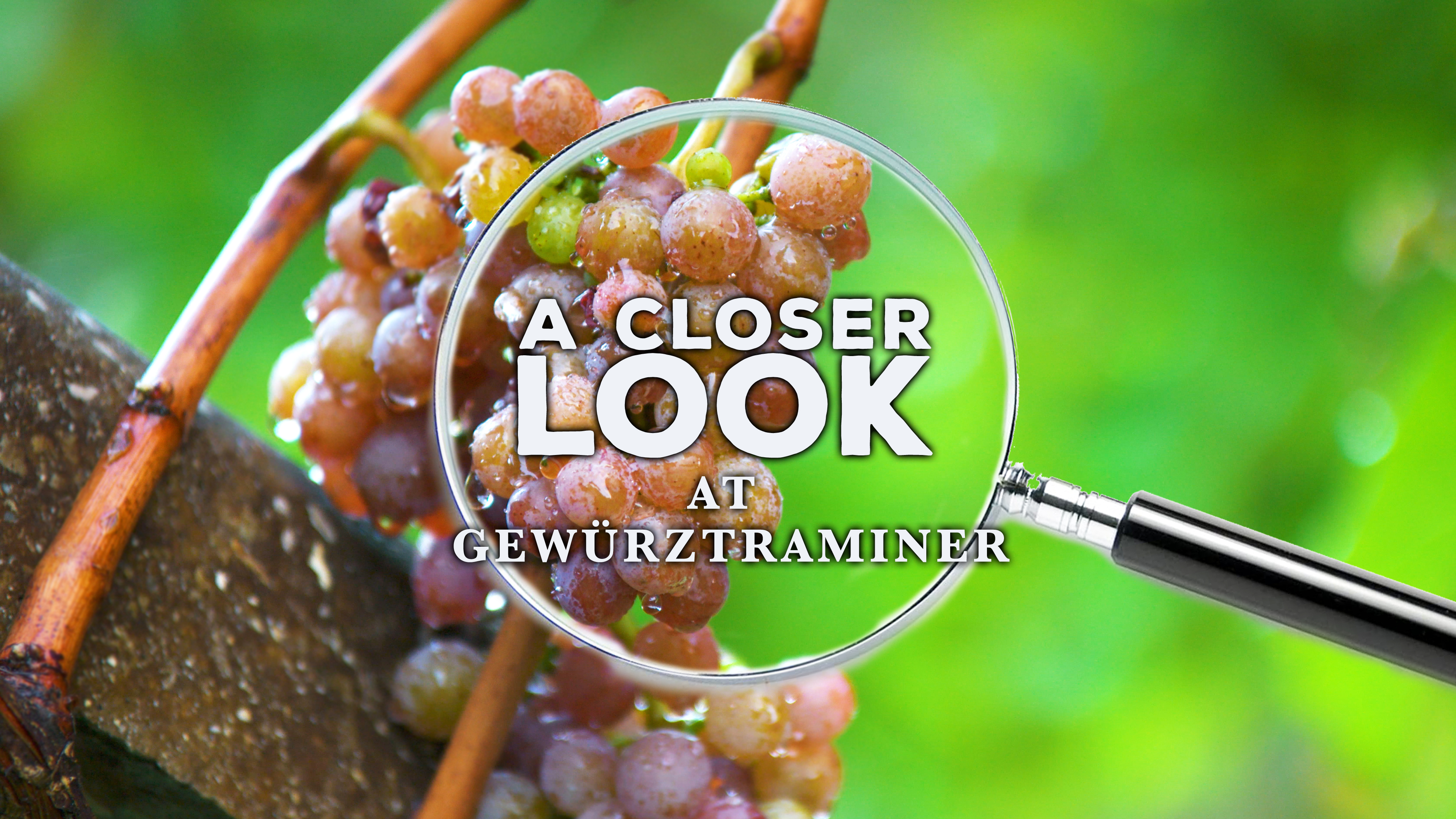 A Closer Look at Gewürztraminer