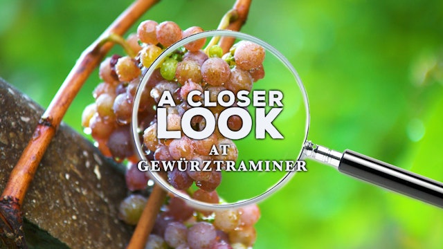A Closer Look at Gewürztraminer