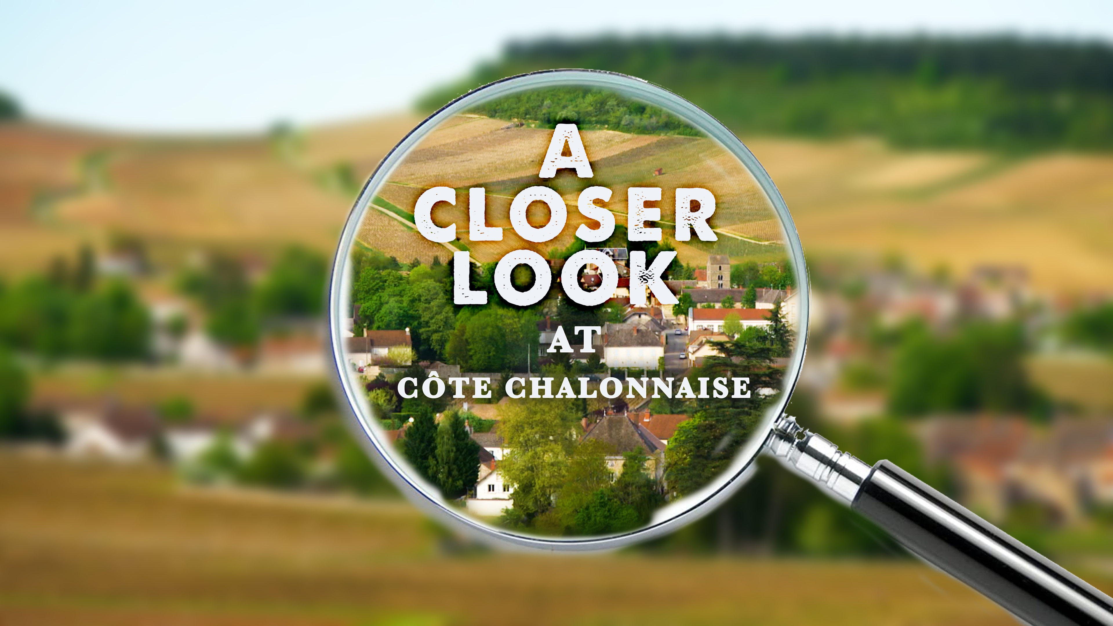 A Closer Look at Côte Chalonnaise