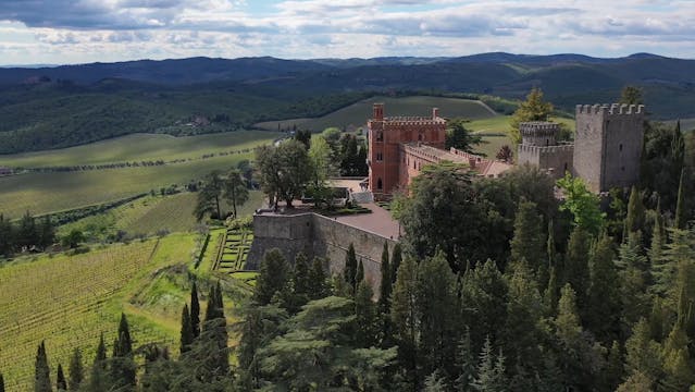 Sip Trip | Episode 6: Classics are AL...