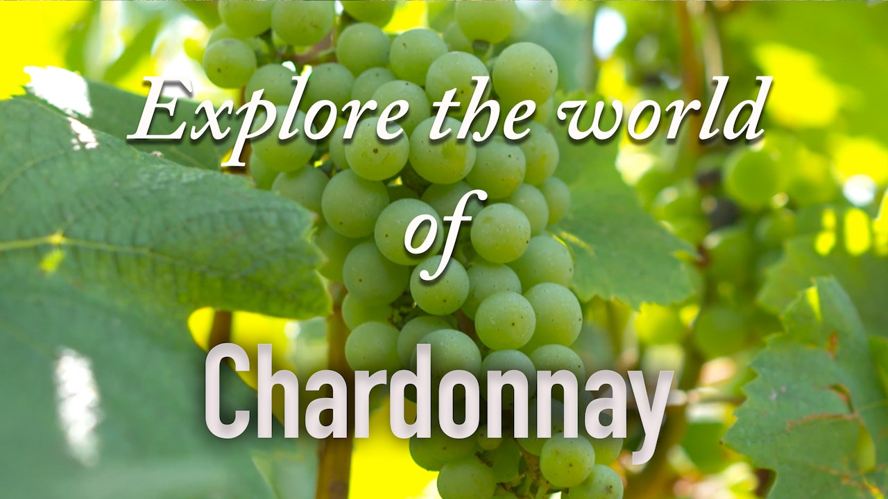 Explore the World of Chardonnay