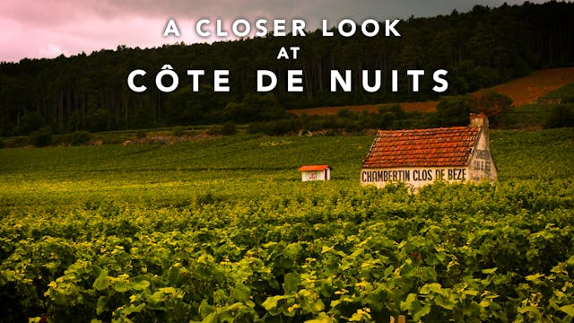A Closer Look at Côte de Nuits Burgundy