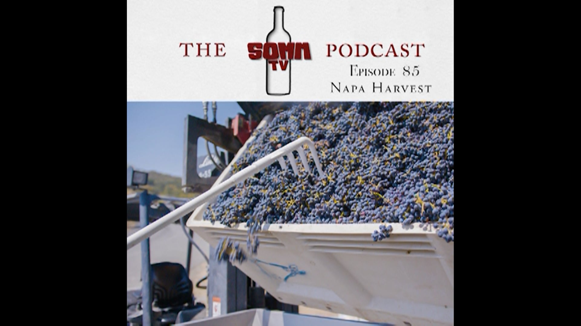 Somm TV: Napa Harvest