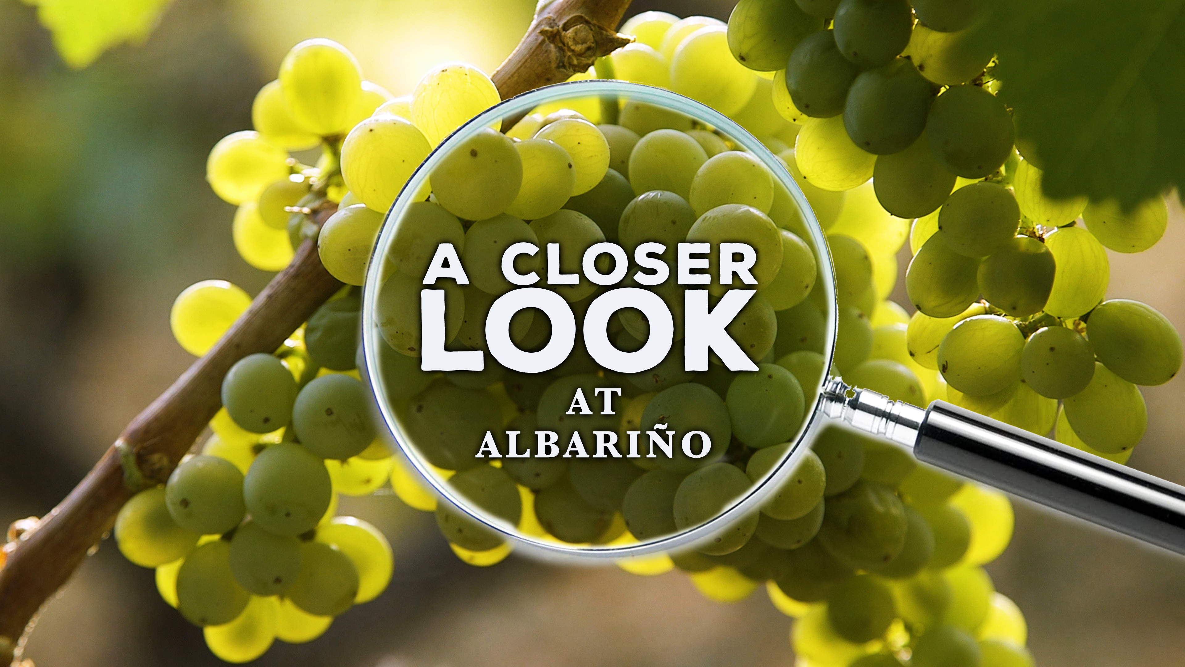 A Closer Look at Albariño