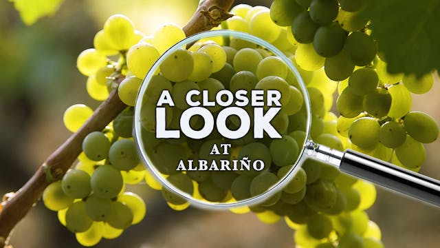 A Closer Look at Albariño