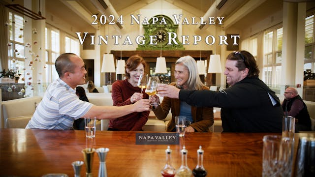 2024 Napa Valley Vintage Report