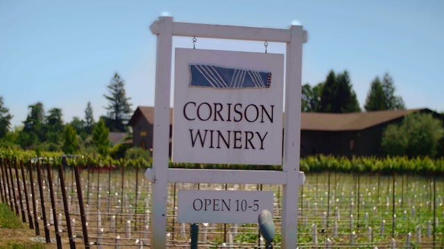 Verticals: Napa Valley Film Festival Presentation