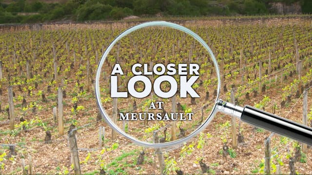 A Closer Look at Meursault