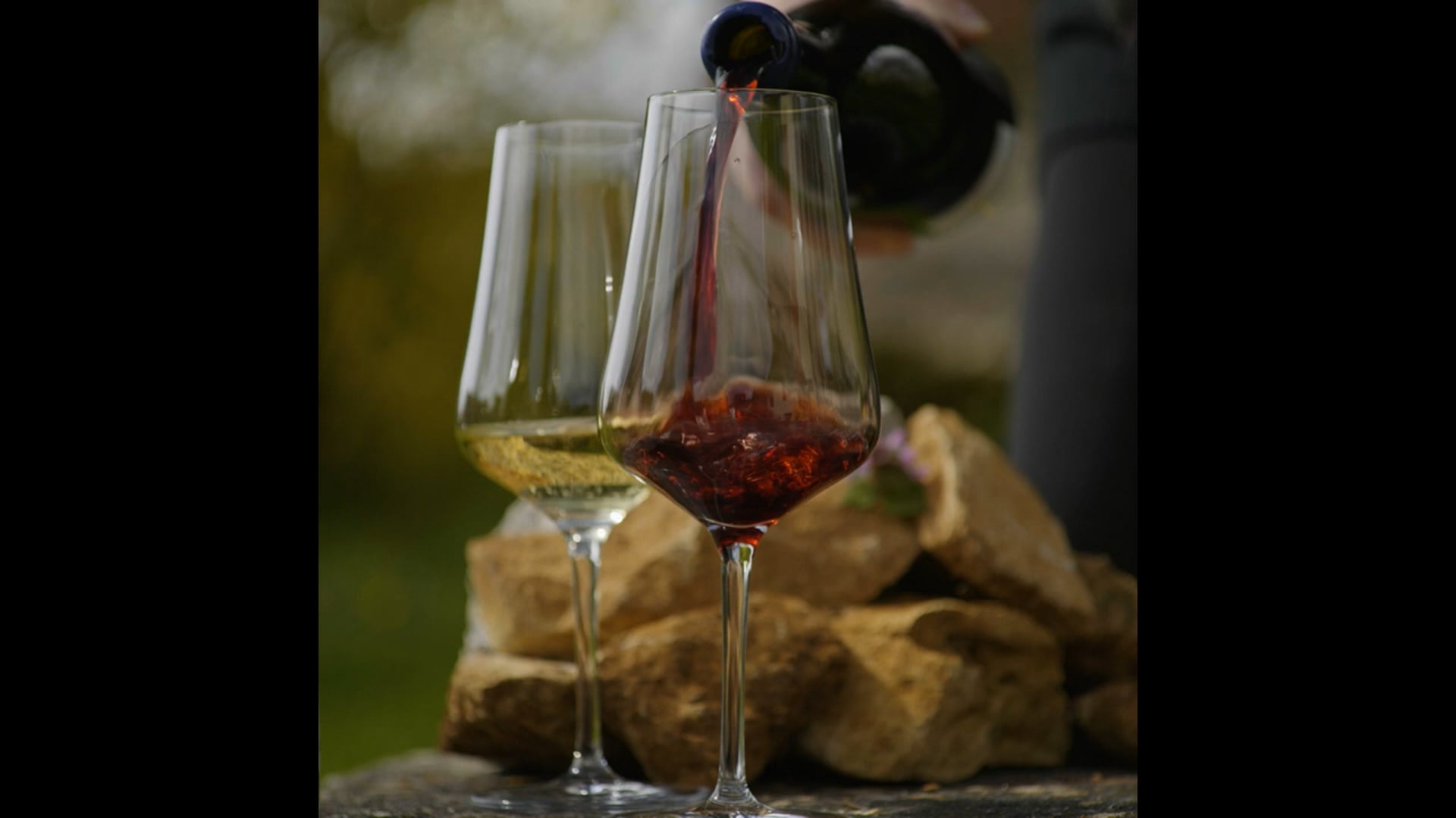 Bourgogne, the Historic Wine Region of the Future?