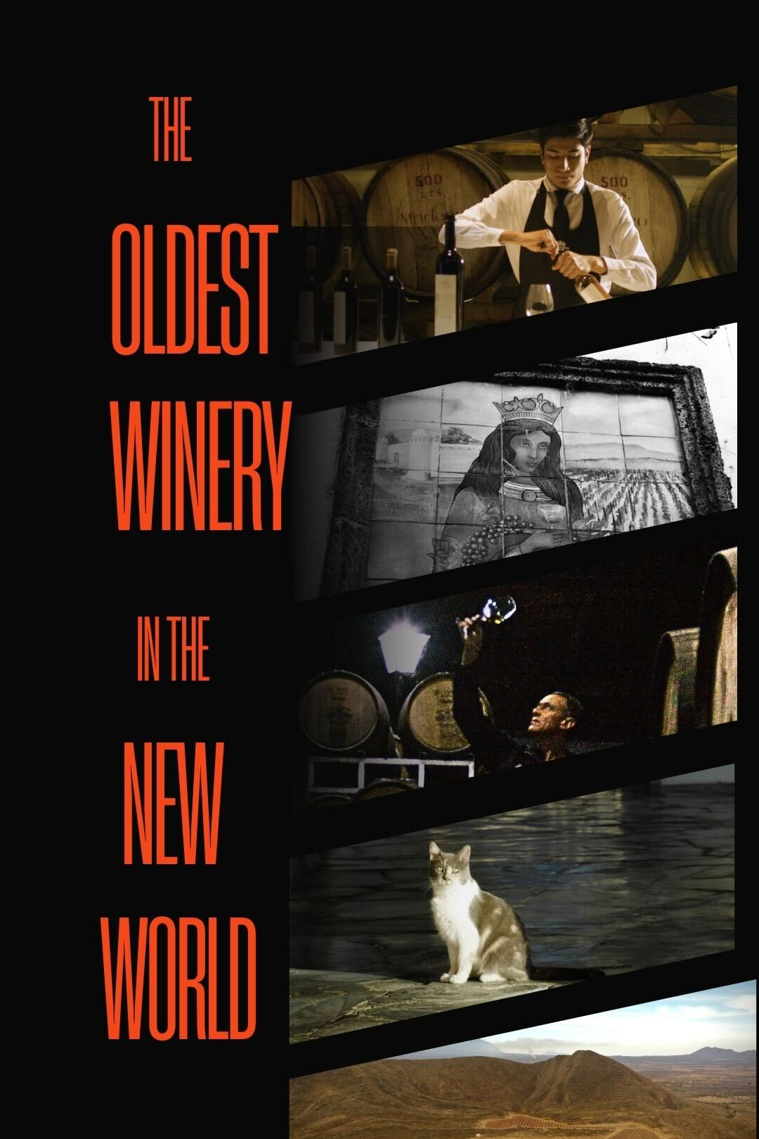 The Oldest Winery in the New World