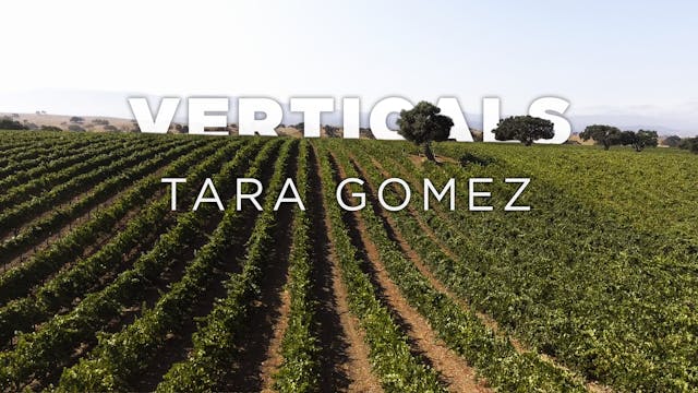 Verticals S2: Tara Gomez