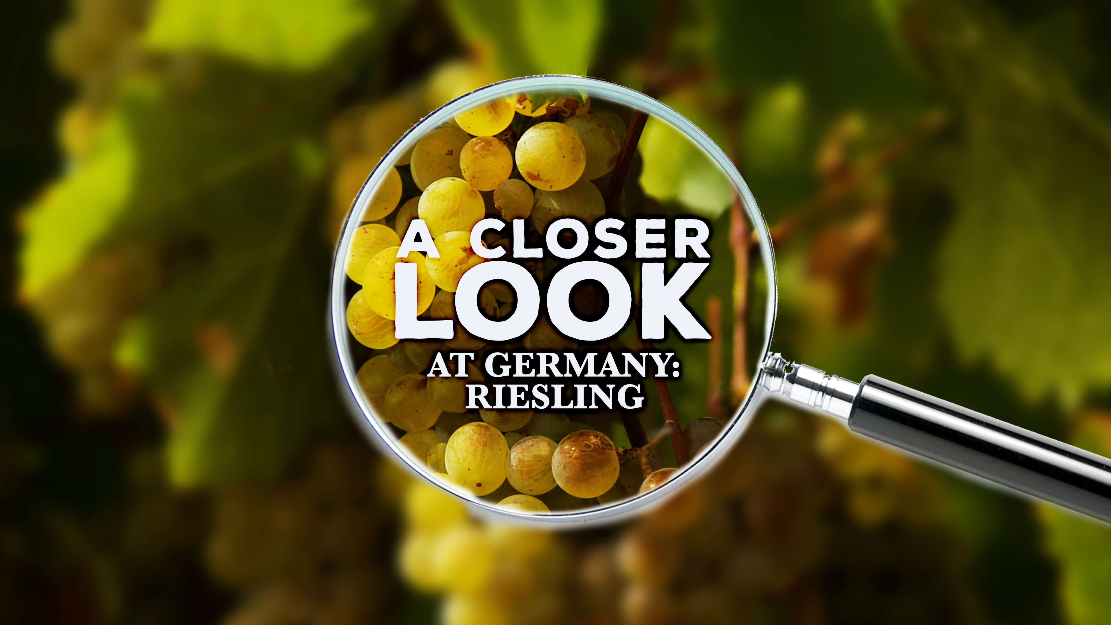 A Closer Look at Germany: Riesling