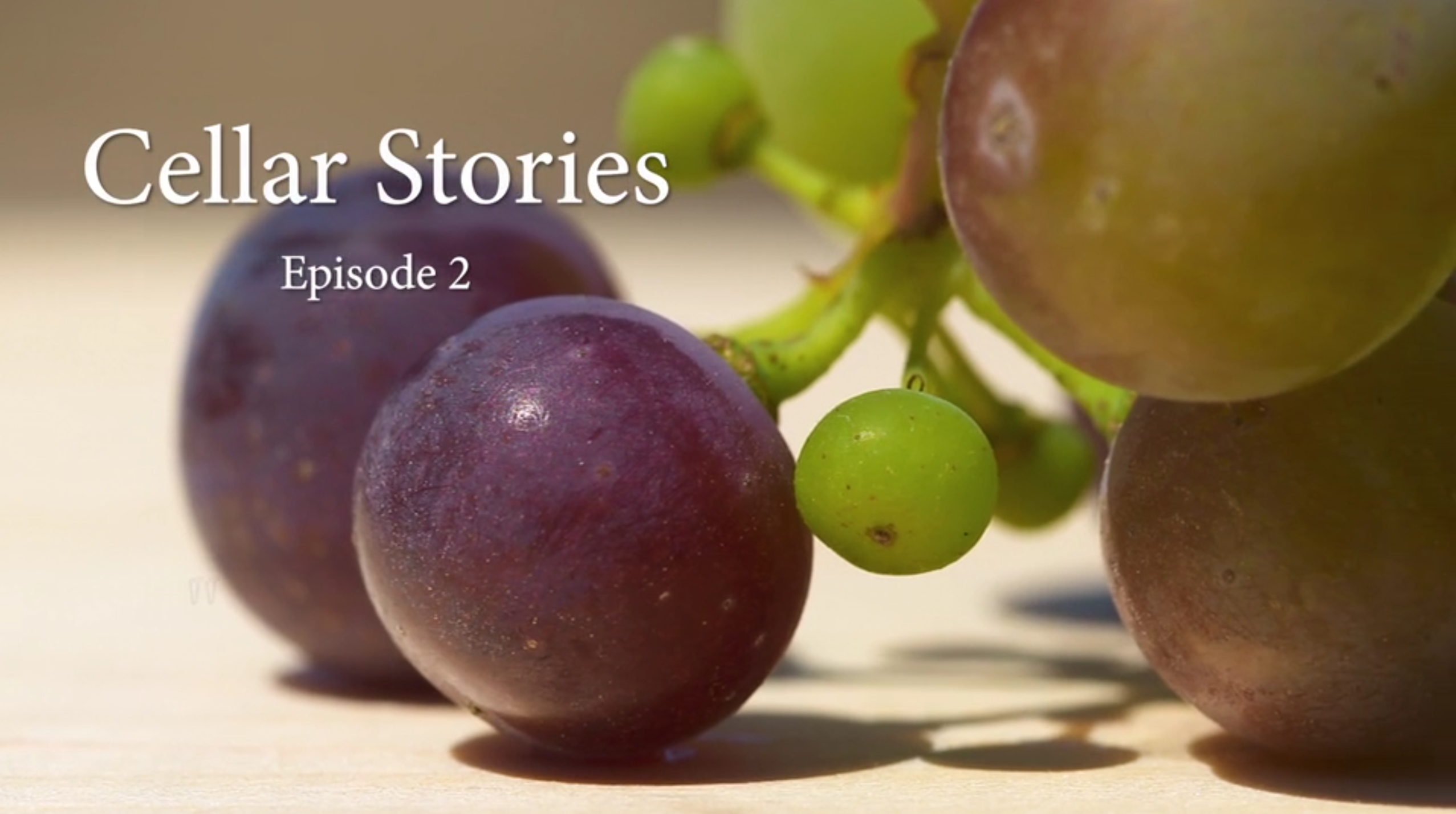 Cellar Stories Episode 2 | The Lost Vineyard