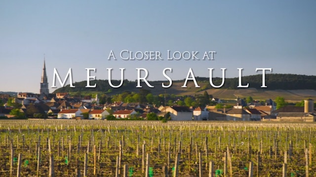 A Closer Look at Meursault