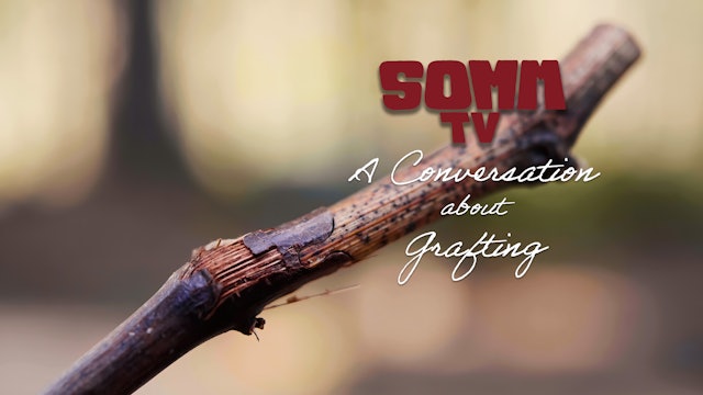 A Conversation about Grafting