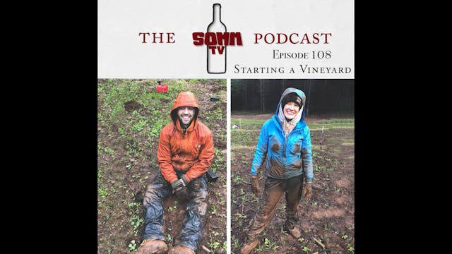 SommTV Podcast: Starting a Vineyard