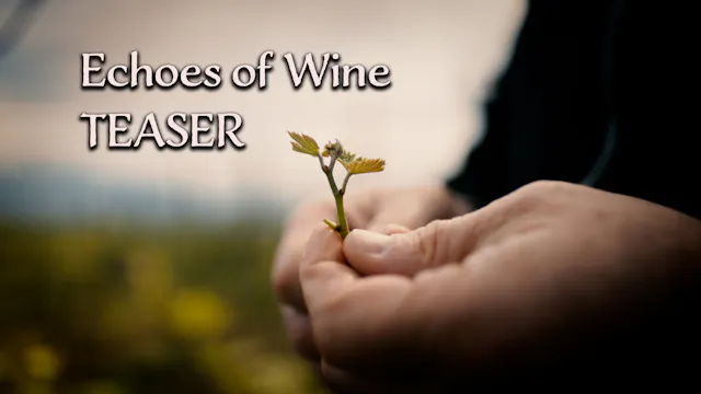 Echoes of Wine: TEASER