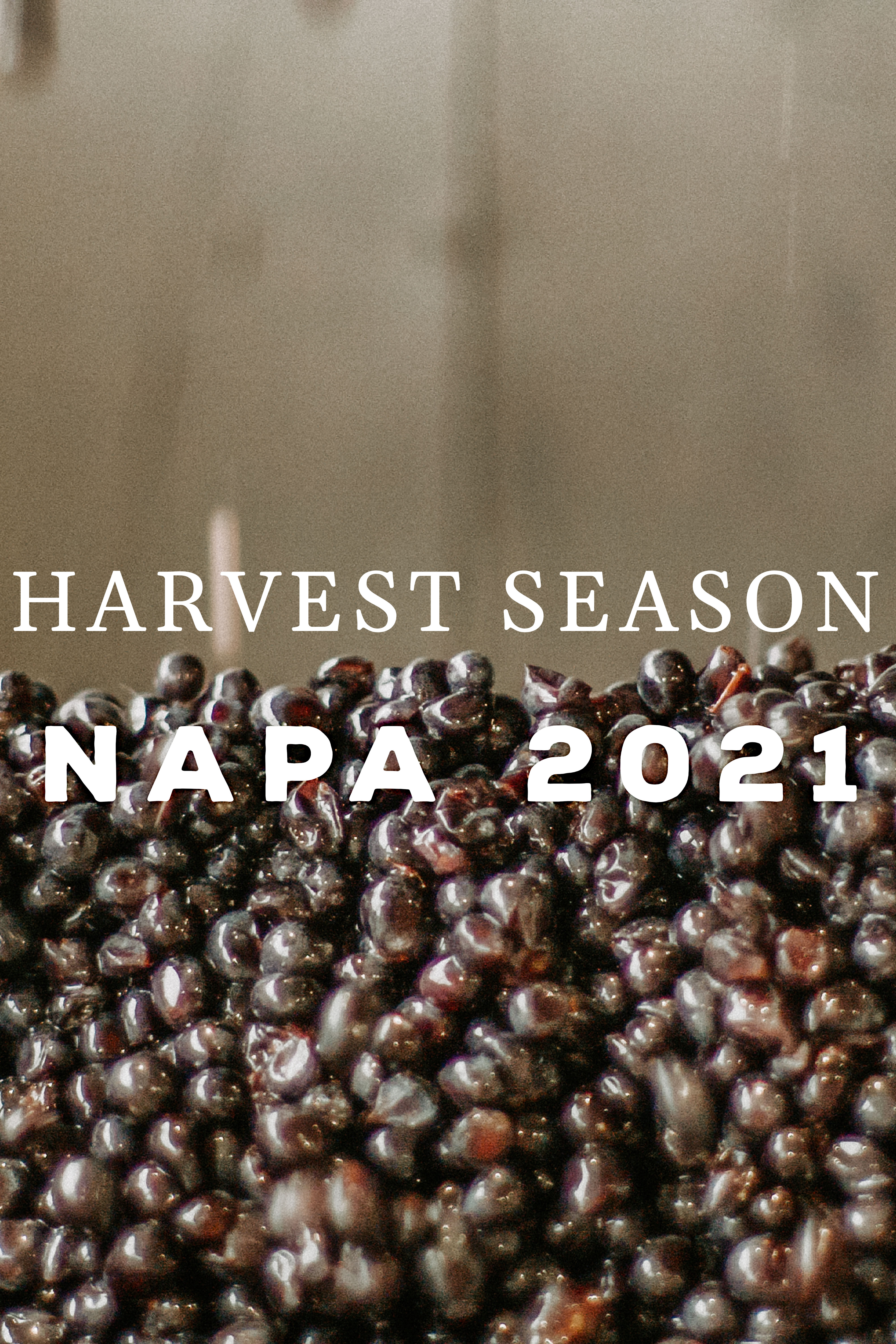 Harvest Season - Napa 2021