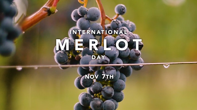 Celebrating International Merlot Day
