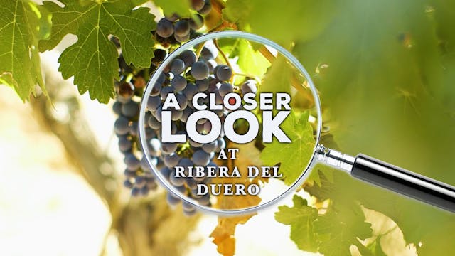 A Closer Look at Ribera del Duero