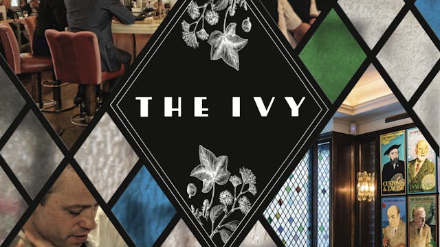 The Ivy