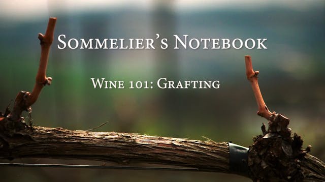 An Intro to Grafting