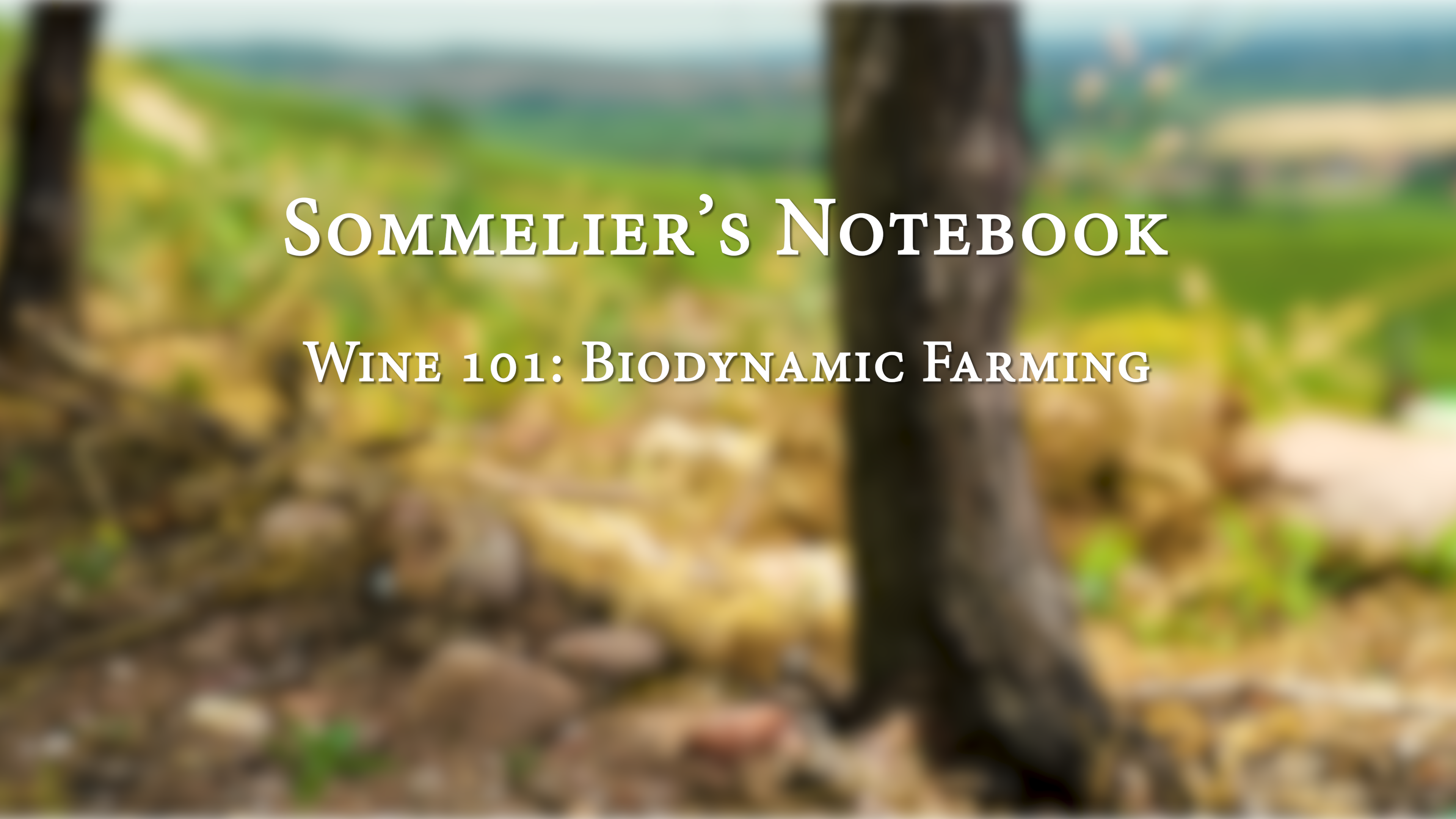 An Intro to Biodynamic Farming
