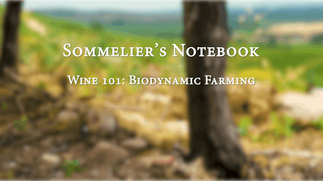 An Intro to Biodynamic Farming