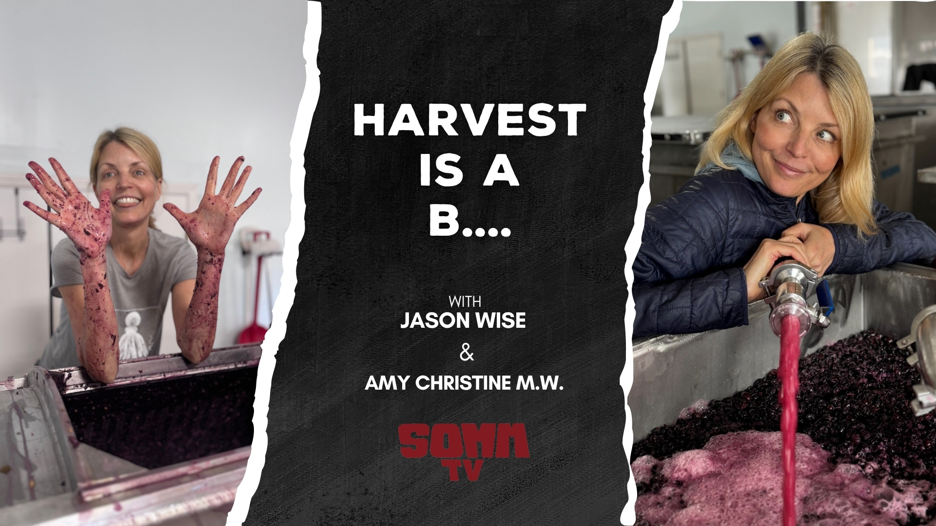 Harvest is a B with Amy Christine