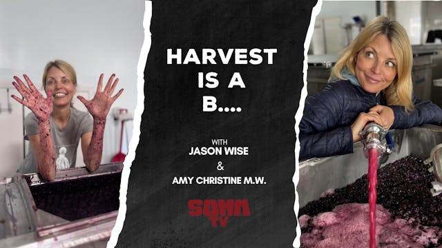 Harvest is a B with Amy Christine MW ...