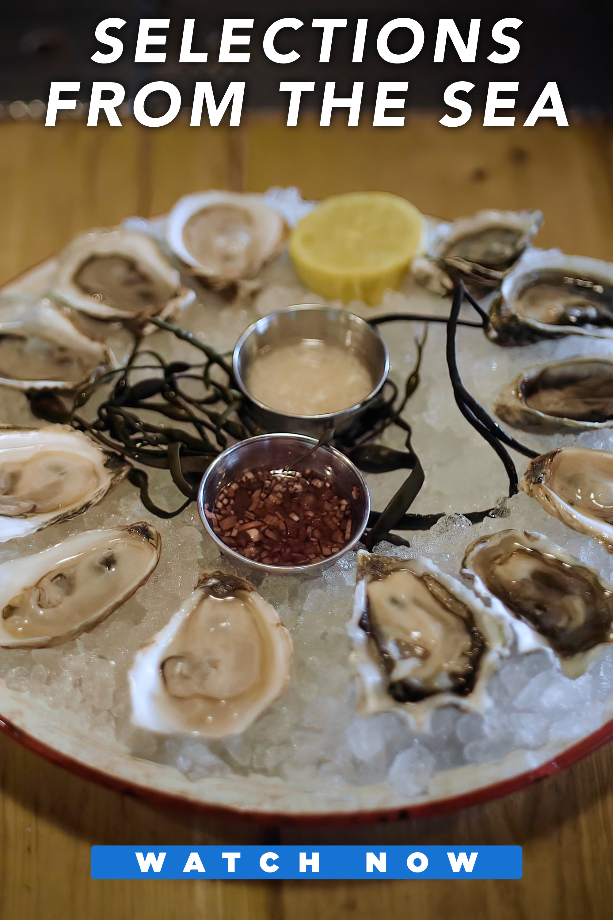 Selections From The Sea