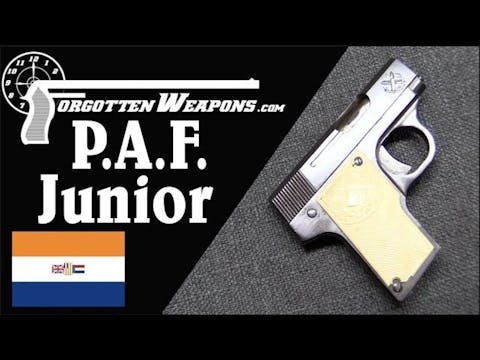 P.A.F. Junior - South Africa's First ...