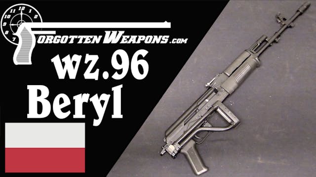 wz.96 Beryl: Poland's 5.56mm Military AK