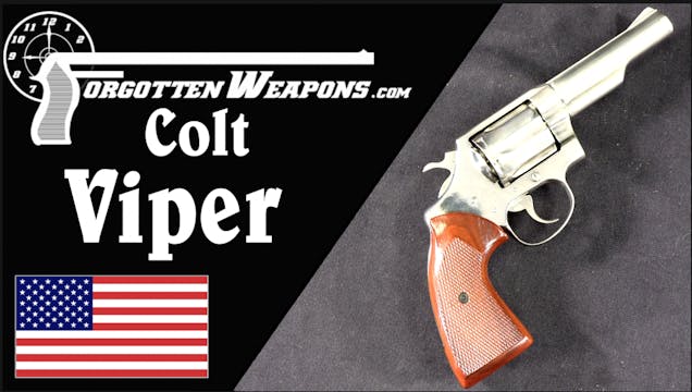 Colt Viper: A Rare Snake and a Great ...