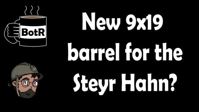 A new 9x19 barrel for the Steyr Hahn?